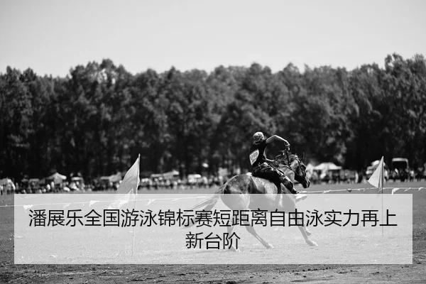 pan-zhan-le-quan-guo-you-yong-jin-biao-sai-duan-ju-li-zi-you-yong-shi-li-zai-shang-xin-tai-jie-2-288.jpg